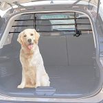 Separadores para coche: La mejor opción para transportar a tu perro de forma segura